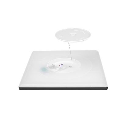 LED plafonsko svetlo za kupatilo NIVERA LED/18W/230V IP54 3000/4000/6000K 30x30 cm crna