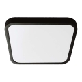 LED plafonsko svetlo za kupatilo SAMSUNG CHIP LED/48W/230V IP44 6500K 42x42 cm crna