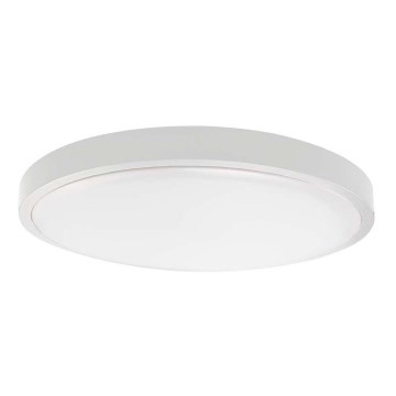LED plafonsko svetlo za kupatilo SAMSUNG čip LED/24W/230V IP44 4000K prečnik 29 cm belo