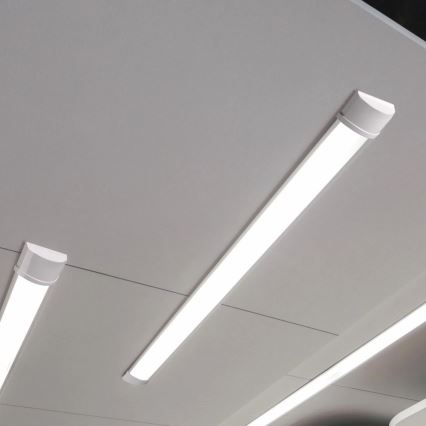 LED Podelementna lampa LED/50W/230V 4000K 150 cm bela