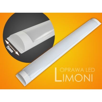 LED Podelementna lampa LIMONI LED/40W/230V 3000K 120 cm