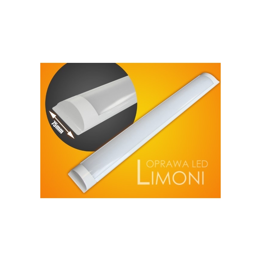 LED Podelementna lampa LIMONI LED/40W/230V 3000K 120 cm