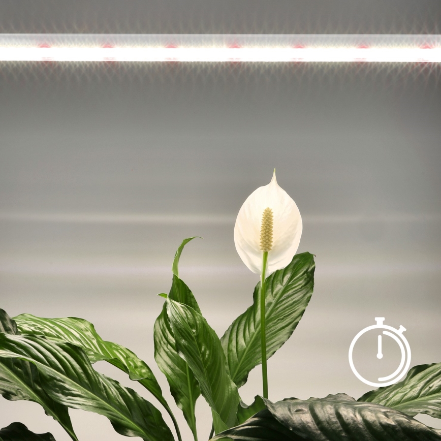 LED Podelementna lampa za uzgoj biljaka GROWLY LED/15W/230W