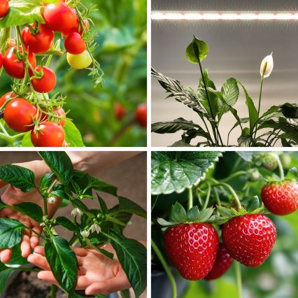 LED Podelementna lampa za uzgoj biljaka GROWLY LED/15W/230W