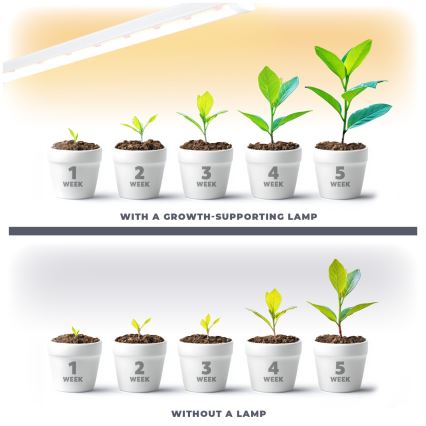 LED Podelementna lampa za uzgoj biljaka GROWLY LED/15W/230W