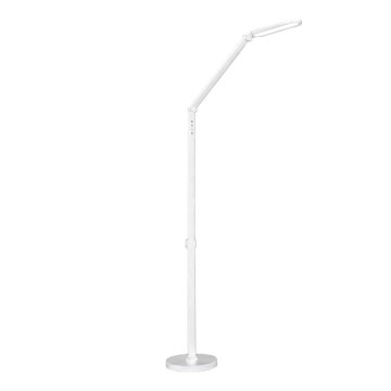 LED Prigušiva dodirna stojeća lampa FERRARA LED/13W/230V 3000/4000/6000K bela