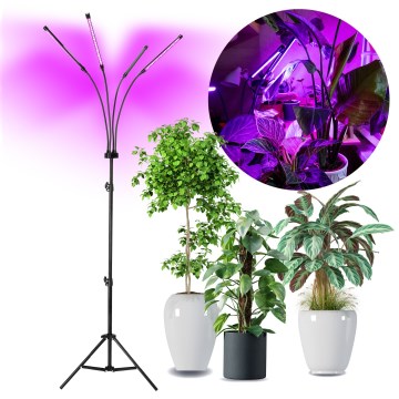 LED Prigušiva fleksibilna stojeća lampa za uzgoj biljaka VITARO 4xLED/7,5W/230V crno