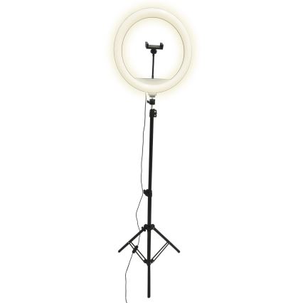LED Prigušiva lampa sa stalkom i držačem za vlogovanje LED/15W/5V 2700-6500K