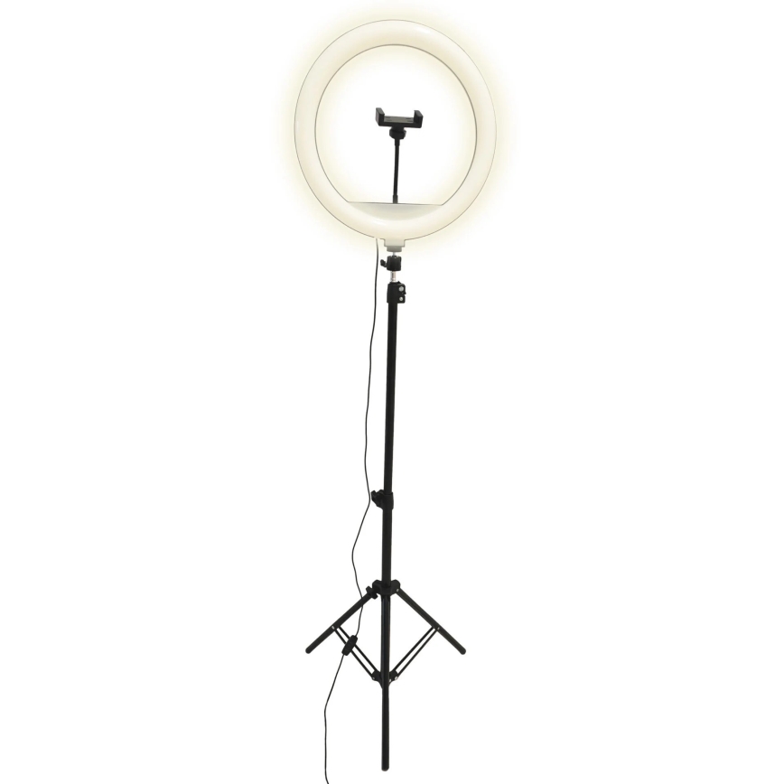 LED Prigušiva lampa sa stalkom i držačem za vlogovanje LED/15W/5V 2700-6500K