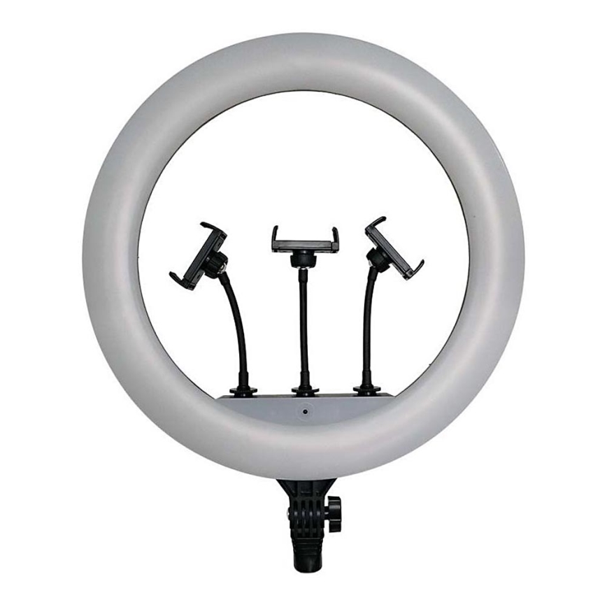 LED Prigušiva lampa sa stalkom i držačem za vlogovanje LED/55W/230V CRI 90 + Daljinski upravljač