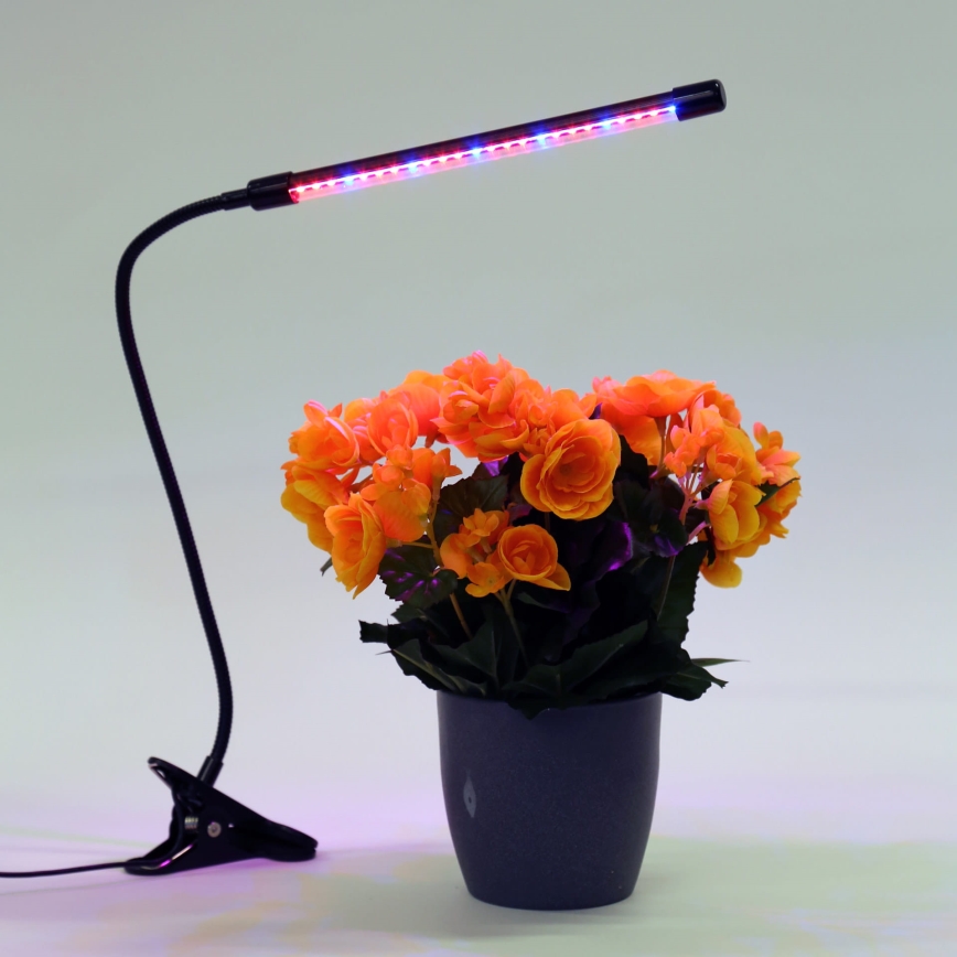 LED Prigušiva lampa sa štipaljkom za osvetljavanje biljaka LED/3W/230V crno