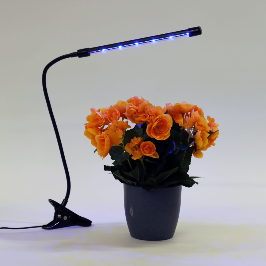 LED Prigušiva lampa sa štipaljkom za osvetljavanje biljaka LED/3W/230V crno