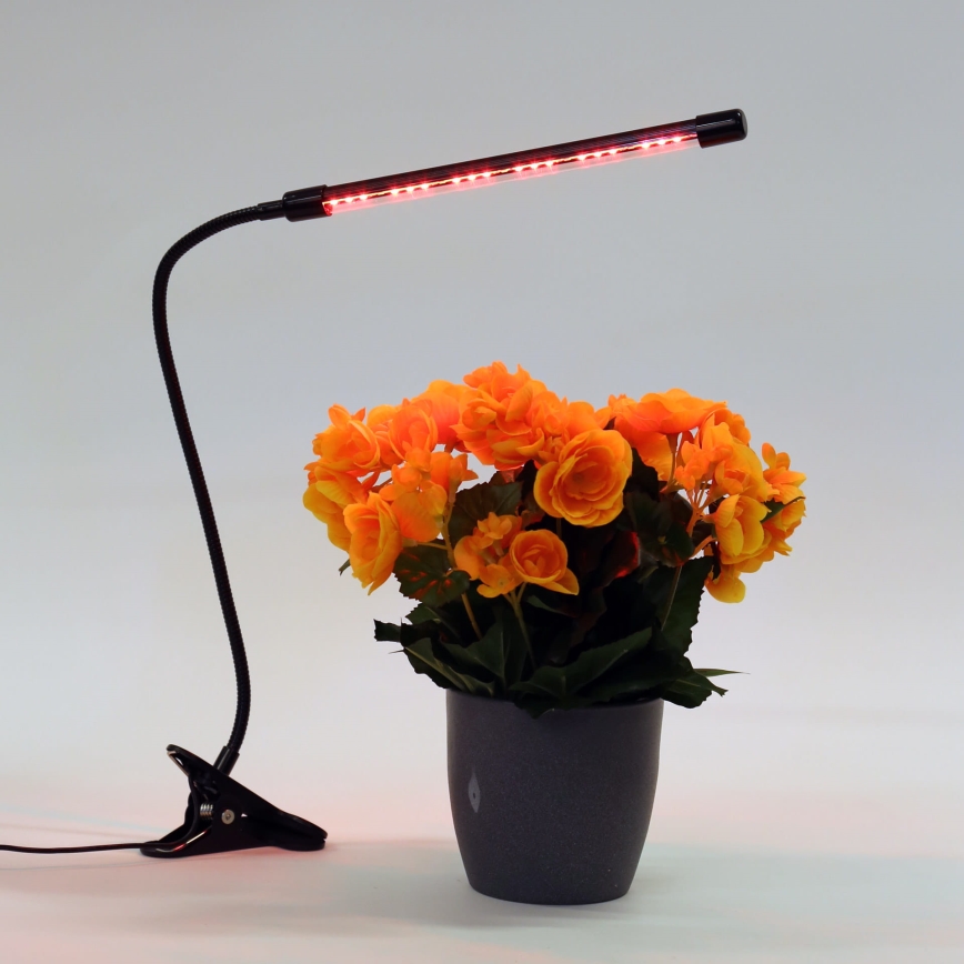 LED Prigušiva lampa sa štipaljkom za osvetljavanje biljaka LED/3W/230V crno