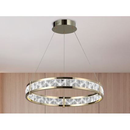 LED prigušiva kristalni luster na sajli ENRIQUE LED/55W//230V 3000-6000K prečnik 80 cm + daljinski upravljač