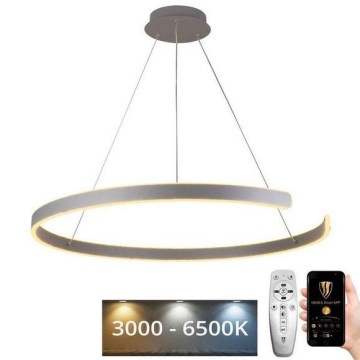 LED prigušiva luster na sajli LED/100W/230V 3000-6500K prečnik 80 cm + daljinski upravljač