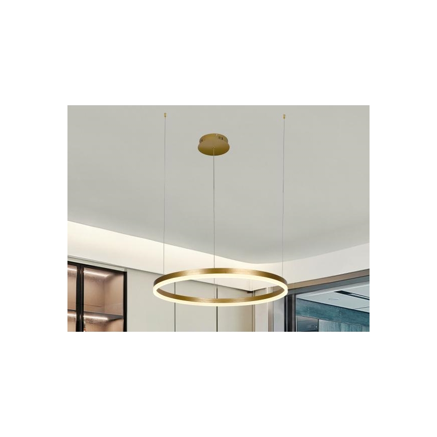 LED prigušiva luster na sajli LED/42W/230V 3000-6500K prečnik 60 cm + daljinski upravljač