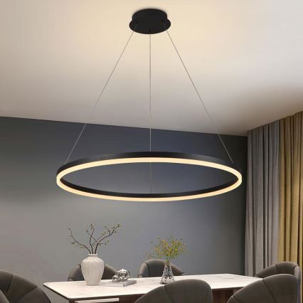 LED prigušiva luster na sajli LED/55W/230V 3000-6500K prečnika 80 cm + daljinski upravljač