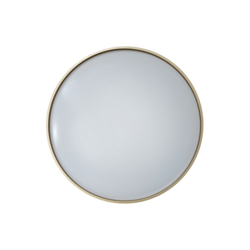 LED Prigušiva plafonjera DRINA LED/36W/230V 2700-6500K pr. 50 cm + Daljinski upravljač