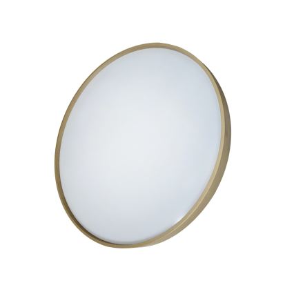 LED Prigušiva plafonjera DRINA LED/36W/230V 2700-6500K pr. 50 cm + Daljinski upravljač