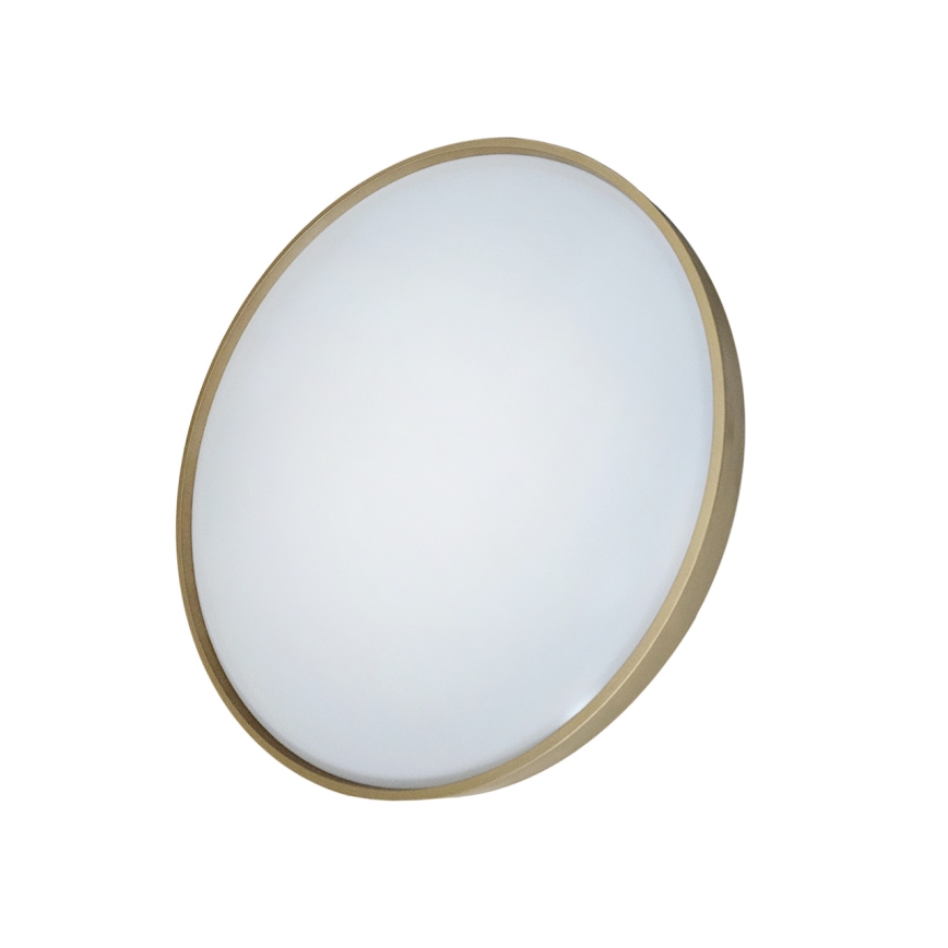 LED Prigušiva plafonjera DRINA LED/36W/230V 2700-6500K pr. 50 cm + Daljinski upravljač