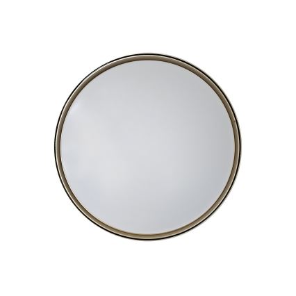 LED Prigušiva plafonjera EBRO LED/36W/230V 2700-6500K pr. 50 cm + Daljinski upravljač