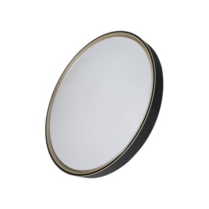 LED Prigušiva plafonjera EBRO LED/36W/230V 2700-6500K pr. 50 cm + Daljinski upravljač