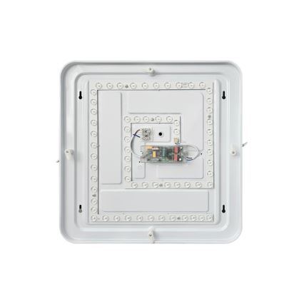 LED Prigušiva plafonjera FLORA LED/36W/230V 2700-6500K 43x43 cm + Daljinski upravljač