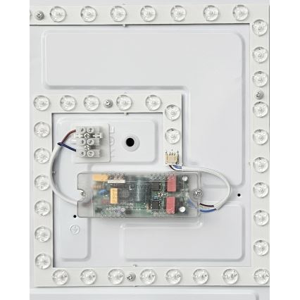 LED Prigušiva plafonjera FLORA LED/36W/230V 2700-6500K 43x43 cm + Daljinski upravljač