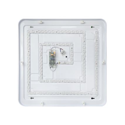LED Prigušiva plafonjera FLORA LED/60W/230V 2700-6500K 53x53 cm +daljinski upravljač