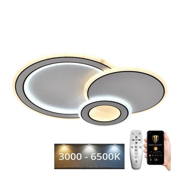 LED Prigušiva plafonjera LED/40W/230V 3000-6500K + Daljinski upravljač
