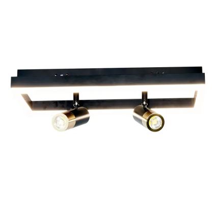 LED Prigušiva plafonjera LED/50W/230V 3000-6500K crno + Daljinski upravljač