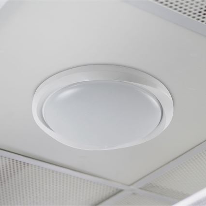 LED Prigušiva plafonjera LED/60W/230V 3000-6500K 49,2 cm bela + Daljinski upravljač