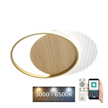 LED Prigušiva plafonjera LED/60W/230V 3000-6500K + Daljinski upravljač