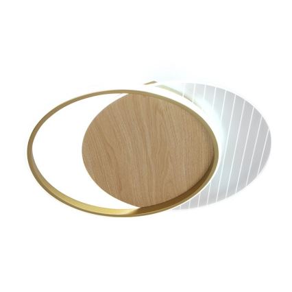 LED Prigušiva plafonjera LED/60W/230V 3000-6500K + Daljinski upravljač