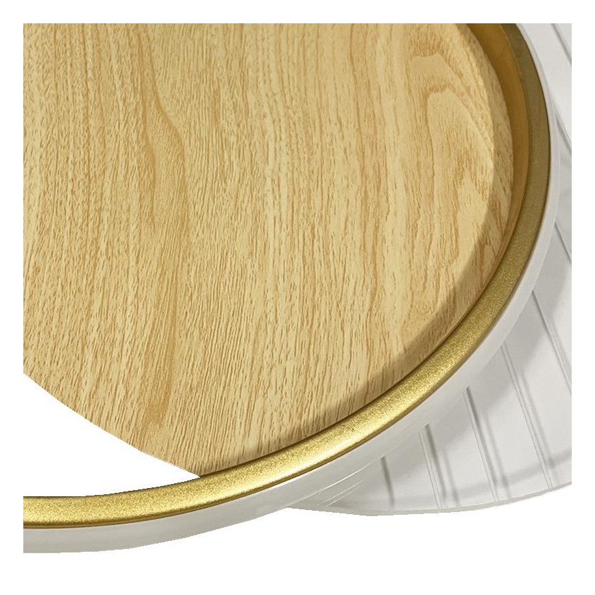 LED Prigušiva plafonjera LED/60W/230V 3000-6500K + Daljinski upravljač