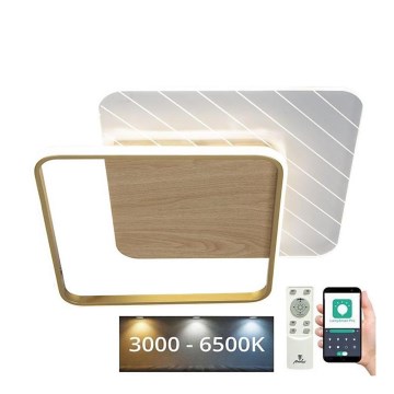 LED Prigušiva plafonjera LED/60W/230V 3000-6500K + Daljinski upravljač