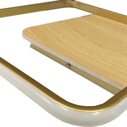 LED Prigušiva plafonjera LED/60W/230V 3000-6500K + Daljinski upravljač