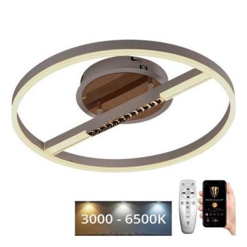 LED Prigušiva plafonjera LED/60W/230V 3000-6500K + Daljinski upravljač