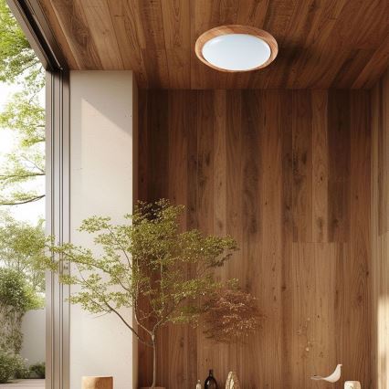 LED Prigušiva plafonjera LED/60W/230V 3000-6500K + Daljinski upravljač