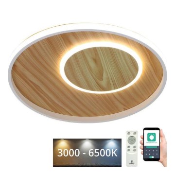 LED Prigušiva plafonjera LED/65W/230V 3000-6500K braon +daljinski upravljač