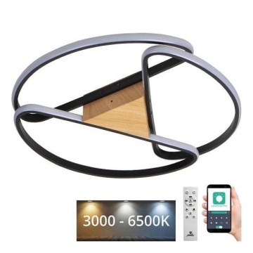 LED Prigušiva plafonjera LED/75W/230V 3000-6500K braon/crno + Daljinski upravljač