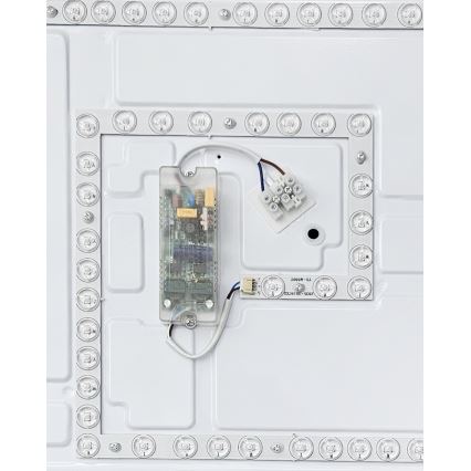 LED Prigušiva plafonjera MANA LED/60W/230V 2700-6500K 53x53 cm + Daljinski upravljač