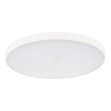 LED Prigušiva plafonjera PLAFON LED/20W/230V 3000-6500K Wi-Fi bela