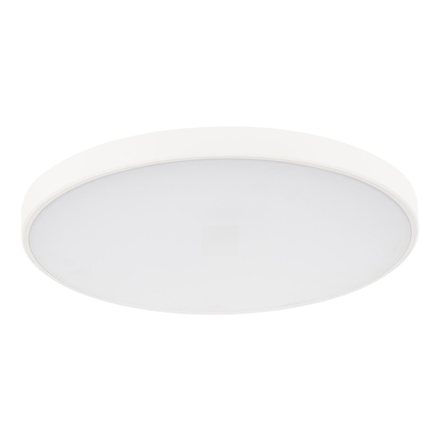 LED Prigušiva plafonjera PLAFON LED/20W/230V 3000-6500K Wi-Fi bela