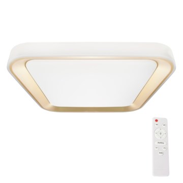 LED Prigušiva plafonjera QUADRO LED/38W/230V 3000-6000K bela/zlatna + Daljinski upravljač