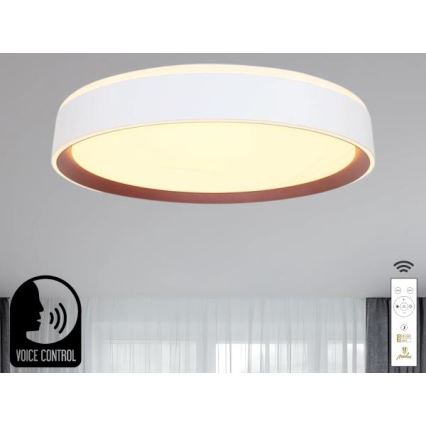 LED Prigušiva plafonjera sa glasovnim upravljanjem OPAL LED/48W/230V 2700-6500K bela + Daljinski upravljač