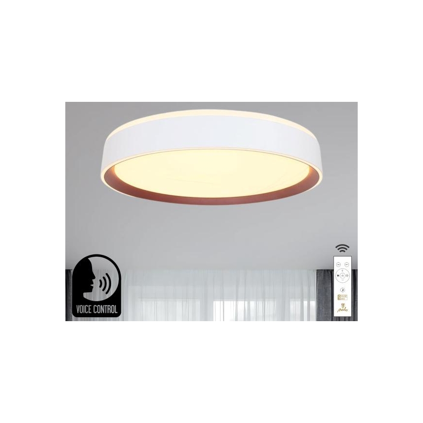 LED Prigušiva plafonjera sa glasovnim upravljanjem OPAL LED/48W/230V 2700-6500K bela + Daljinski upravljač