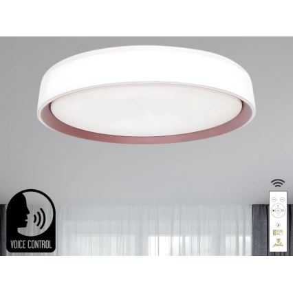 LED Prigušiva plafonjera sa glasovnim upravljanjem OPAL LED/48W/230V 2700-6500K bela + Daljinski upravljač