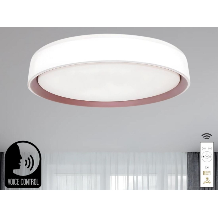 LED Prigušiva plafonjera sa glasovnim upravljanjem OPAL LED/48W/230V 2700-6500K bela + Daljinski upravljač