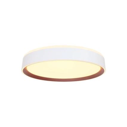 LED Prigušiva plafonjera sa glasovnim upravljanjem OPAL LED/48W/230V 2700-6500K bela + Daljinski upravljač